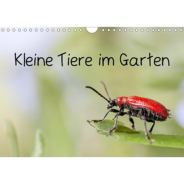 Kleine Tiere im Garten (Wandkalender 2021 DIN A4 quer), Xenia Schlossherr