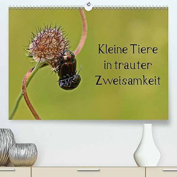 Kleine Tiere in trauter Zweisamkeit (Premium-Kalender 2020 DIN A2 quer), Christine Schmutzler-Schaub