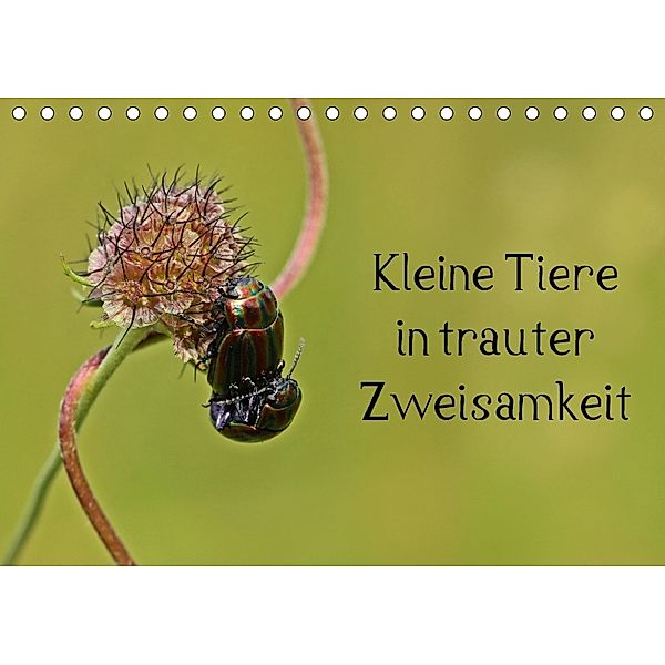 Kleine Tiere in trauter Zweisamkeit (Tischkalender 2018 DIN A5 quer) Dieser erfolgreiche Kalender wurde dieses Jahr mit, Christine Schmutzler-Schaub