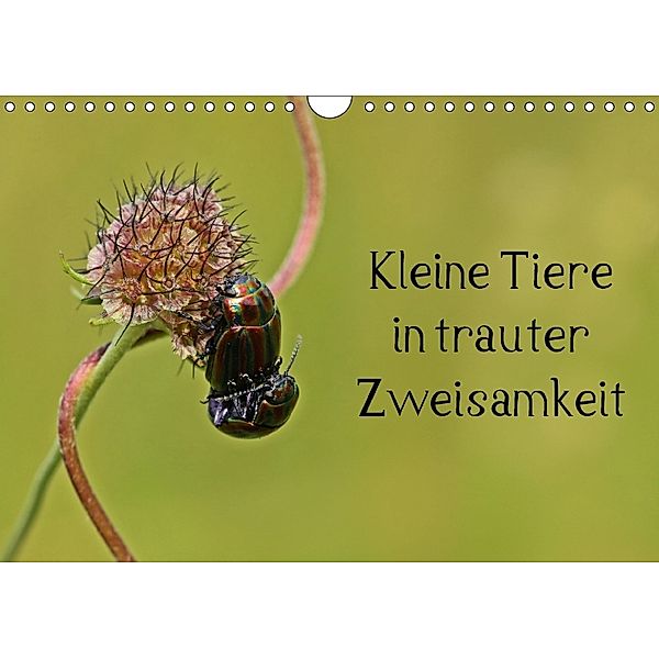 Kleine Tiere in trauter Zweisamkeit (Wandkalender 2018 DIN A4 quer) Dieser erfolgreiche Kalender wurde dieses Jahr mit g, Christine Schmutzler-Schaub