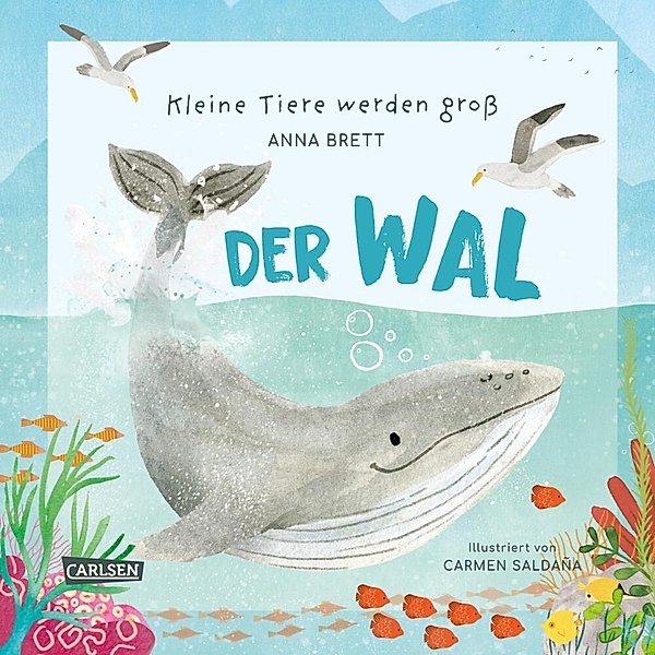 Kleine Tiere werden groß - Der Wal, Anna Brett