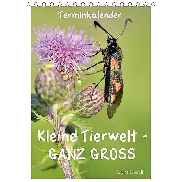 Kleine Tierwelt - GANZ GROSS / Planer (Tischkalender 2017 DIN A5 hoch), Sabine Schmidt