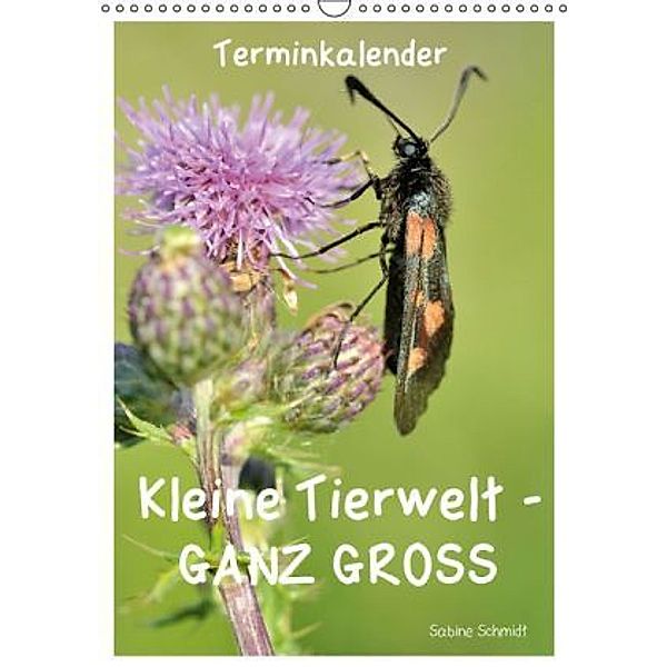 Kleine Tierwelt - GANZ GROSS / Planer (Wandkalender 2014 DIN A3 hoch), Sabine Schmidt