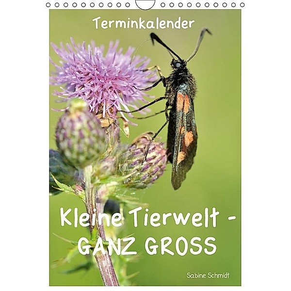 Kleine Tierwelt - GANZ GROSS / Planer (Wandkalender 2017 DIN A4 hoch), Sabine Schmidt