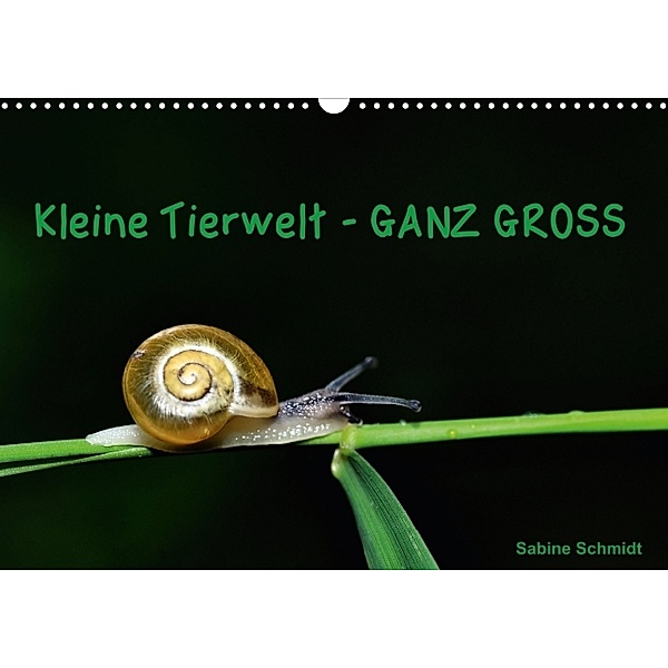 Kleine Tierwelt - GANZ GROSS (Posterbuch DIN A4 quer), Sabine Schmidt