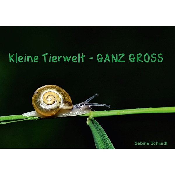 Kleine Tierwelt - GANZ GROSS (Tischaufsteller DIN A5 quer), Sabine Schmidt