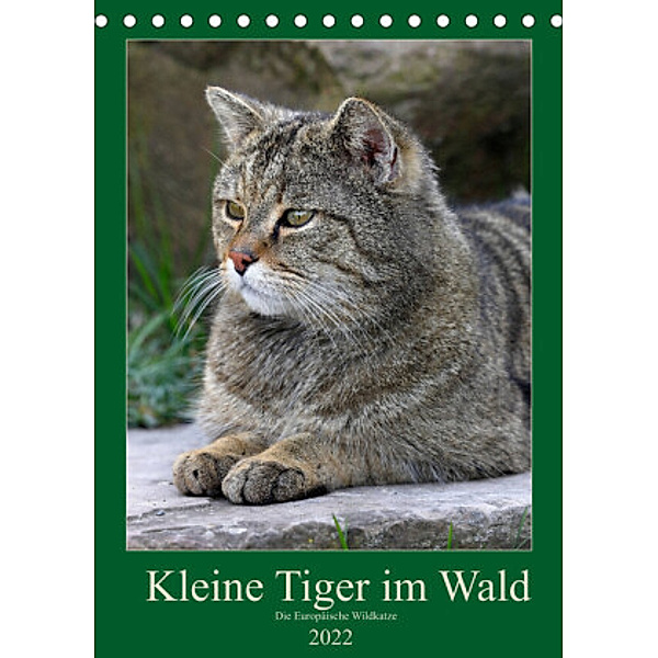 Kleine Tiger im Wald (Tischkalender 2022 DIN A5 hoch), Roland Brack