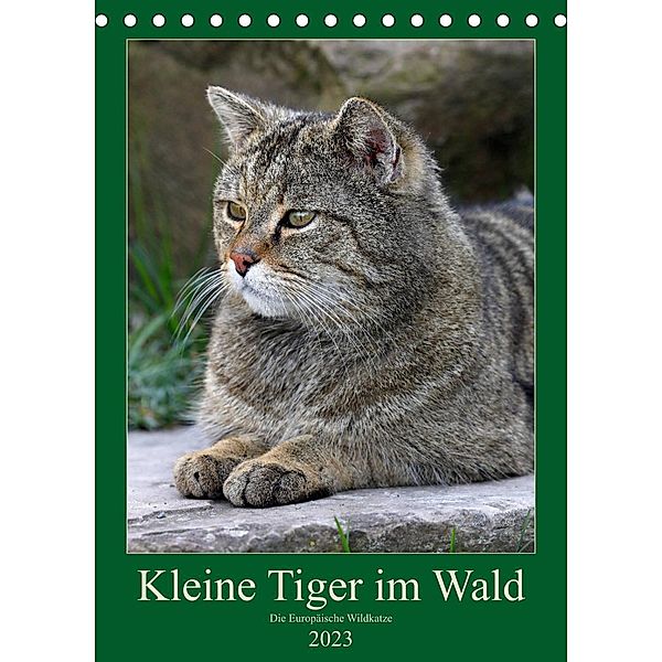 Kleine Tiger im Wald (Tischkalender 2023 DIN A5 hoch), Roland Brack