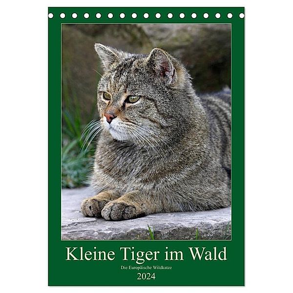 Kleine Tiger im Wald (Tischkalender 2024 DIN A5 hoch), CALVENDO Monatskalender, Roland Brack