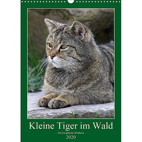 Kleine Tiger im Wald (Wandkalender 2020 DIN A3 hoch), Roland Brack