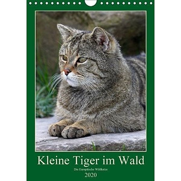 Kleine Tiger im Wald (Wandkalender 2020 DIN A4 hoch), Roland Brack