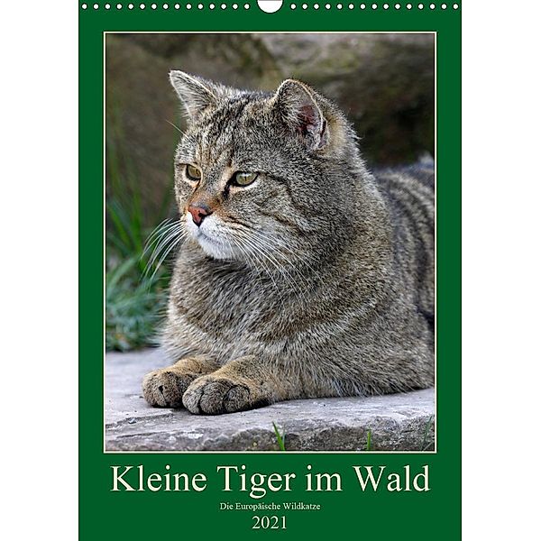 Kleine Tiger im Wald (Wandkalender 2021 DIN A3 hoch), Roland Brack