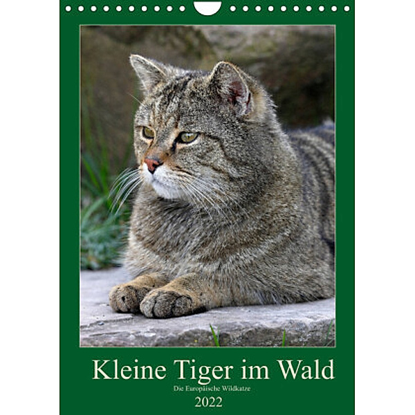 Kleine Tiger im Wald (Wandkalender 2022 DIN A4 hoch), Roland Brack