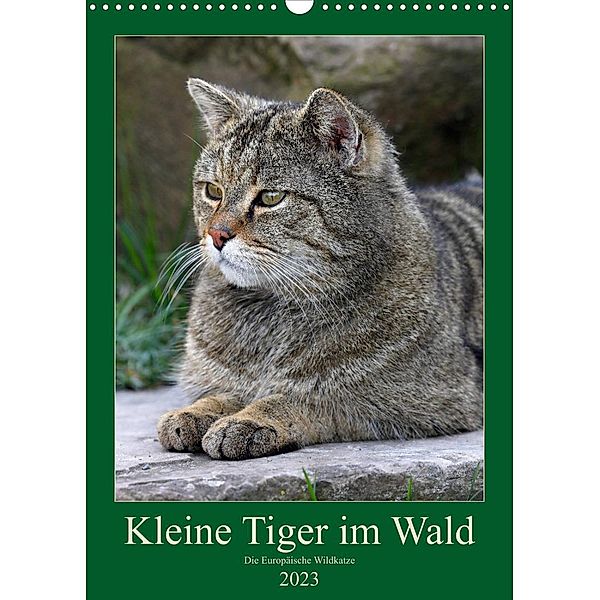 Kleine Tiger im Wald (Wandkalender 2023 DIN A3 hoch), Roland Brack