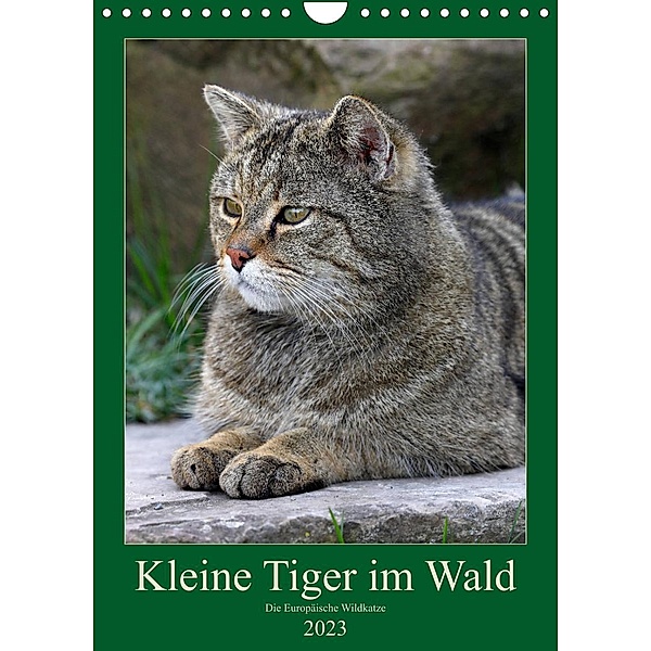 Kleine Tiger im Wald (Wandkalender 2023 DIN A4 hoch), Roland Brack