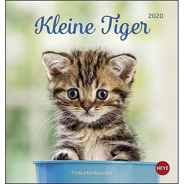 Kleine Tiger Postkartenkalender 2020