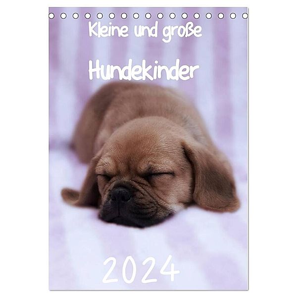 Kleine und große Hundekinder 2024 (Tischkalender 2024 DIN A5 hoch), CALVENDO Monatskalender, Heidi Bollich