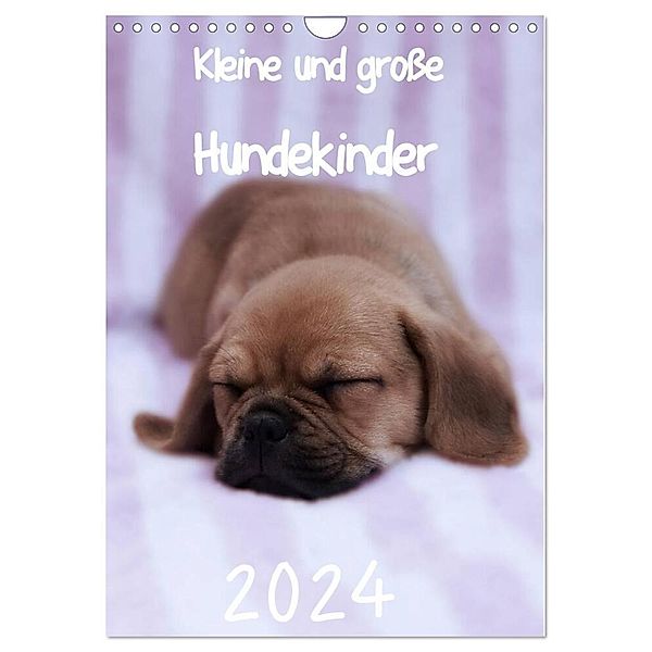 Kleine und grosse Hundekinder 2024 (Wandkalender 2024 DIN A4 hoch), CALVENDO Monatskalender, Heidi Bollich