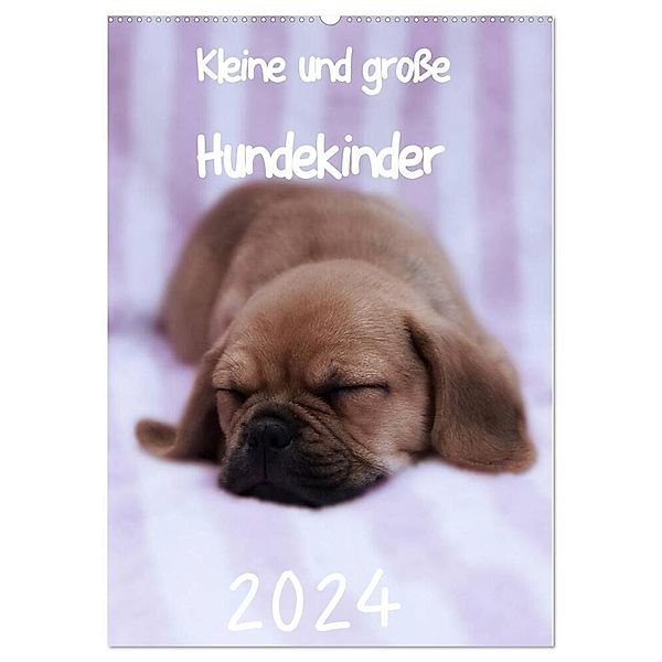 Kleine und große Hundekinder 2024 (Wandkalender 2024 DIN A2 hoch), CALVENDO Monatskalender, Heidi Bollich