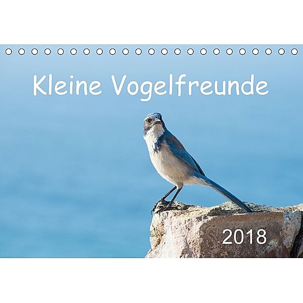 Kleine Vogelfreunde (Tischkalender 2018 DIN A5 quer), Robert Styppa