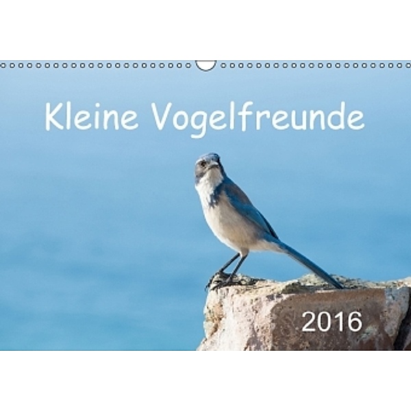 Kleine Vogelfreunde (Wandkalender 2016 DIN A3 quer), Robert Styppa