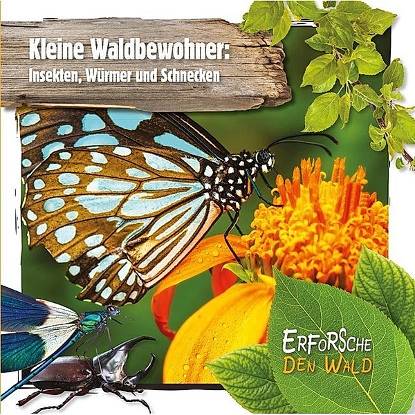 Kleine Waldbewohner: Insekten, Würmer und Schnecken, Robin Twiddy