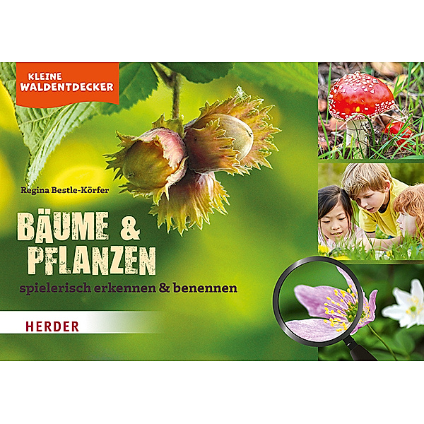 Kleine Waldentdecker: Bäume & Pflanzen, Regina Bestle-Körfer