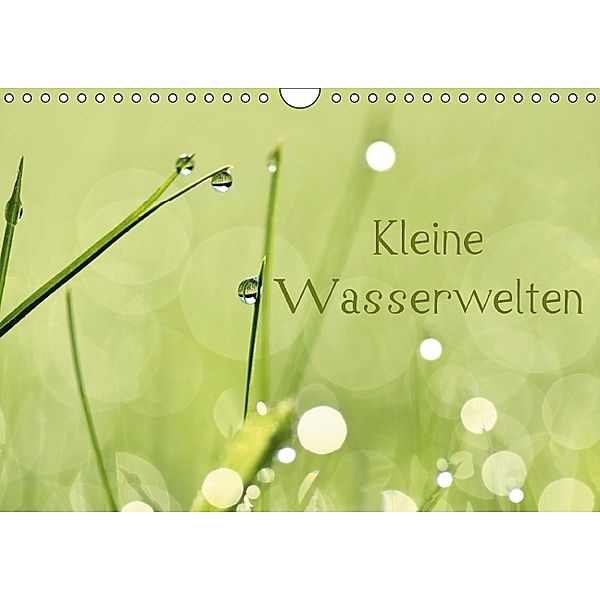 Kleine Wasserwelten (Wandkalender 2014 DIN A4 quer), Jana Behr