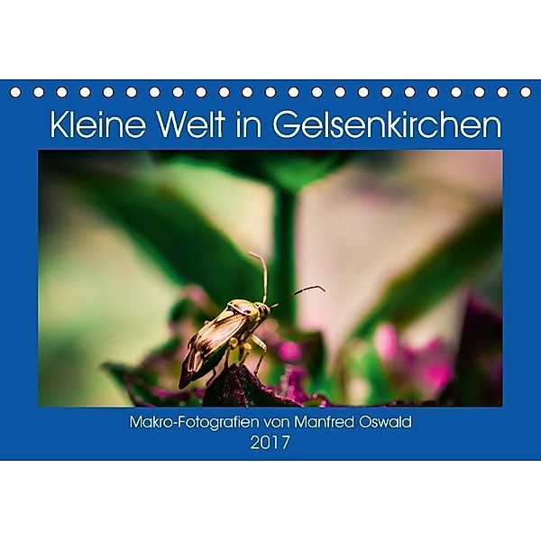 Kleine Welt in Gelsenkirchen (Tischkalender 2017 DIN A5 quer), Butiko-Print