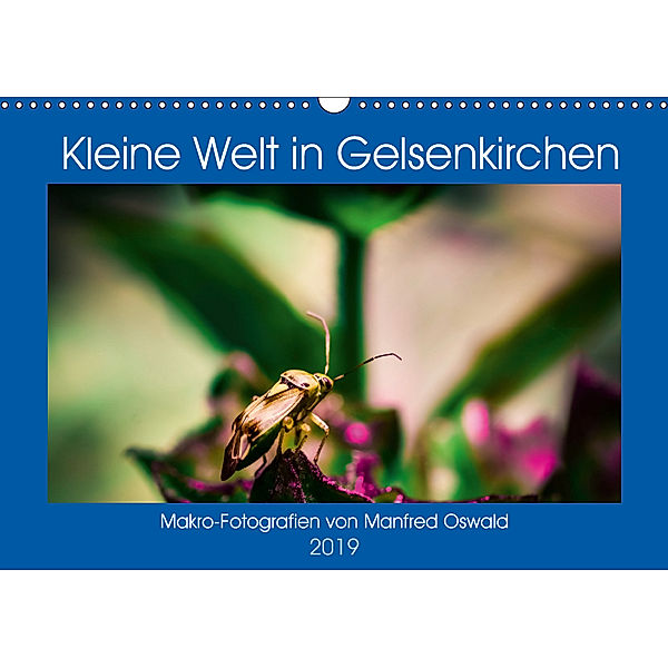 Kleine Welt in Gelsenkirchen (Wandkalender 2019 DIN A3 quer), Butiko-Print