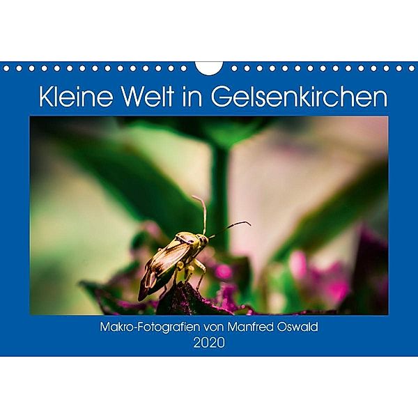 Kleine Welt in Gelsenkirchen (Wandkalender 2020 DIN A4 quer)