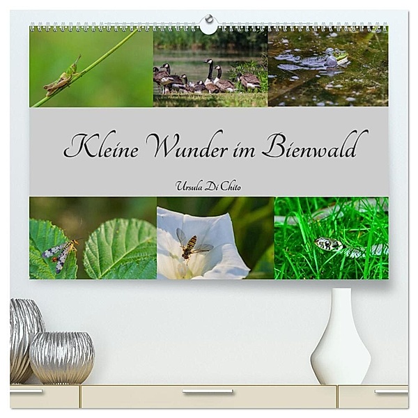 Kleine Wunder im Bienwald (hochwertiger Premium Wandkalender 2025 DIN A2 quer), Kunstdruck in Hochglanz, Calvendo, Ursula Di Chito