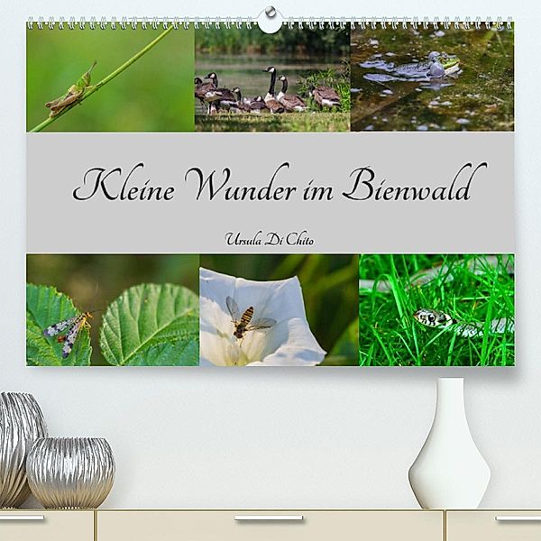 Kleine Wunder im Bienwald (Premium, hochwertiger DIN A2 Wandkalender 2023, Kunstdruck in Hochglanz), Ursula Di Chito