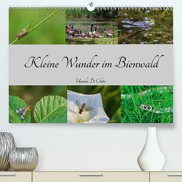 Kleine Wunder im Bienwald (Premium-Kalender 2020 DIN A2 quer), Ursula Di Chito