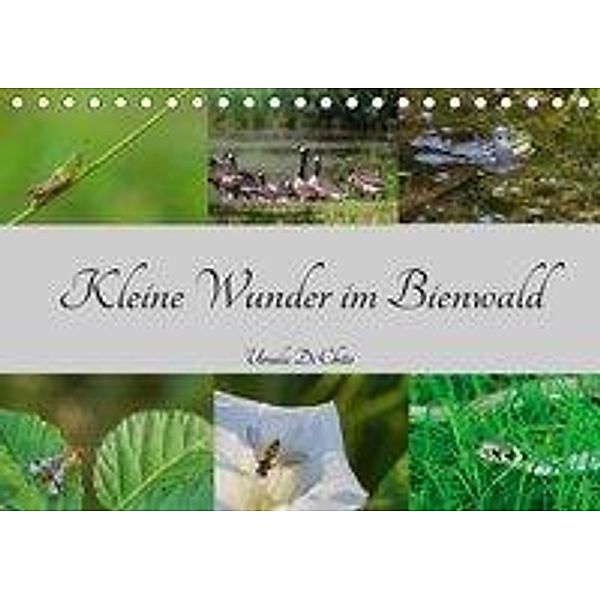 Kleine Wunder im Bienwald (Tischkalender 2019 DIN A5 quer), Ursula Di Chito