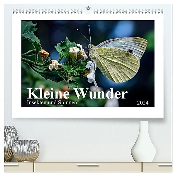 Kleine Wunder - Insekten und Spinnen (hochwertiger Premium Wandkalender 2024 DIN A2 quer), Kunstdruck in Hochglanz, Michael Schöne