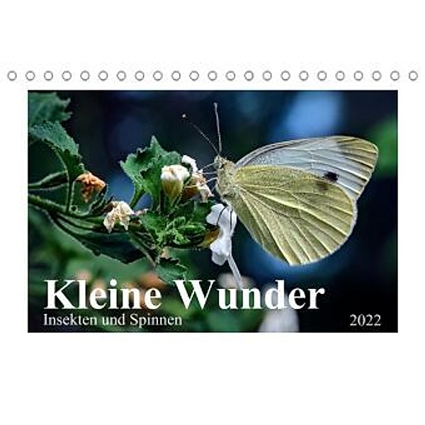 Kleine Wunder - Insekten und Spinnen (Tischkalender 2022 DIN A5 quer), Michael Schöne