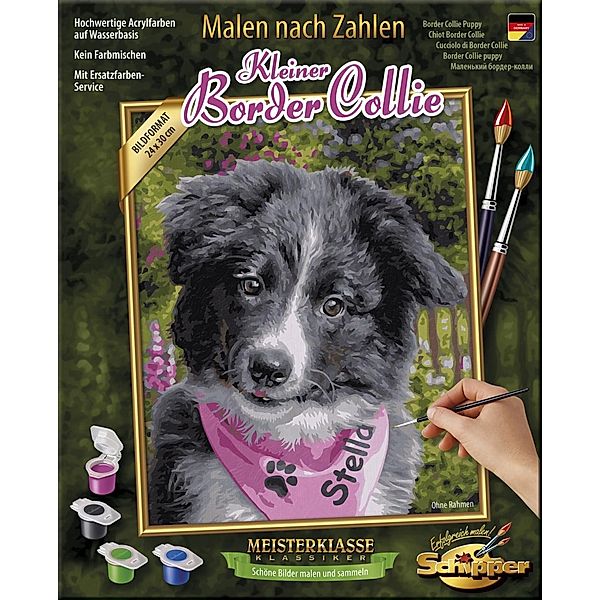 Kleiner Border Collie