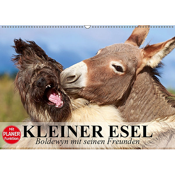 Kleiner Esel. Boldewyn mit seinen Freunden (Wandkalender 2019 DIN A2 quer), Elisabeth Stanzer