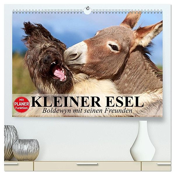 Kleiner Esel. Boldewyn mit seinen Freunden (hochwertiger Premium Wandkalender 2025 DIN A2 quer), Kunstdruck in Hochglanz, Calvendo, Elisabeth Stanzer