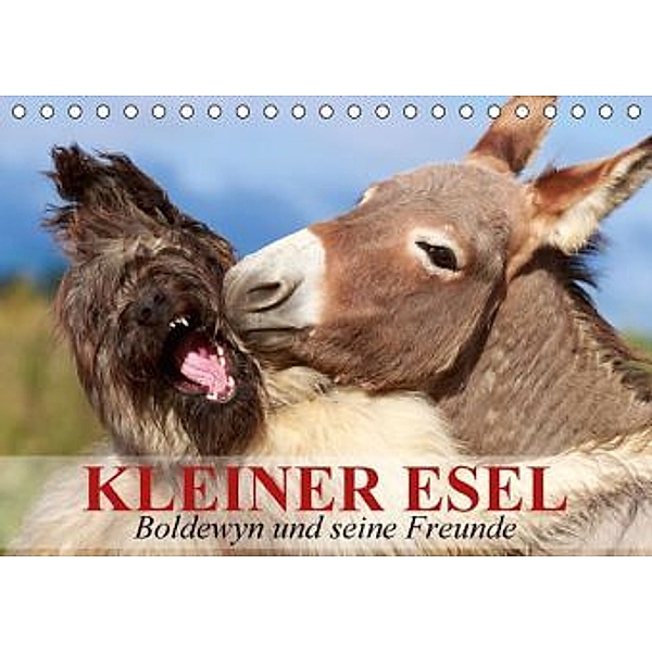 Kleiner Esel - Boldewyn und seine Freunde (Tischkalender 2015 DIN A5 quer), Elisabeth Stanzer