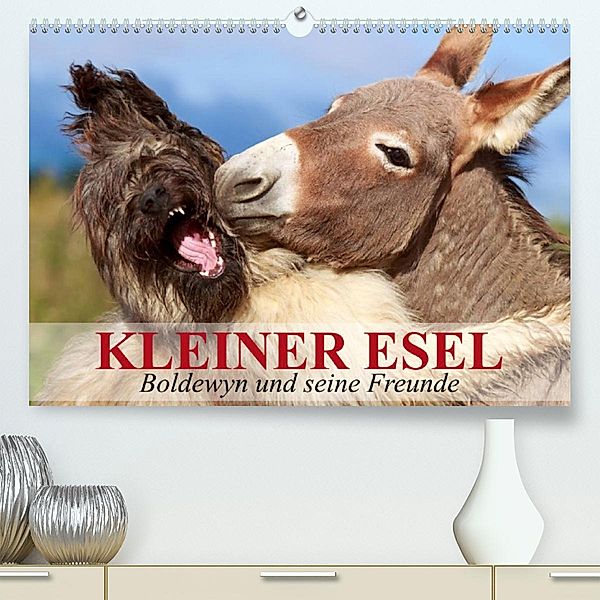 Kleiner Esel. Boldewyn und seine Freunde (Premium, hochwertiger DIN A2 Wandkalender 2023, Kunstdruck in Hochglanz), Elisabeth Stanzer