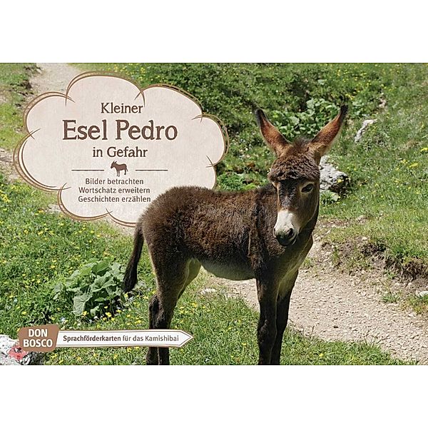 Kleiner Esel Pedro in Gefahr. Kamishibai Bildkartenset, Monika Wieber