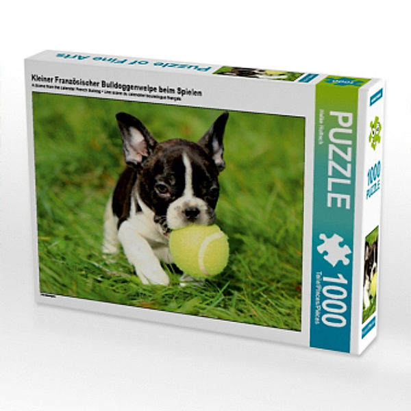 Kleiner Französischer Bulldoggenwelpe beim Spielen (Puzzle), Heike Hultsch