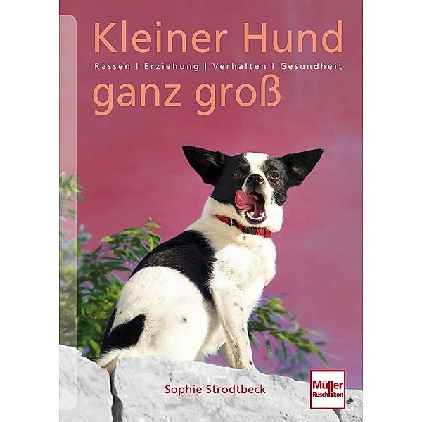 Kleiner Hund ganz groß, Sophie Strodtbeck