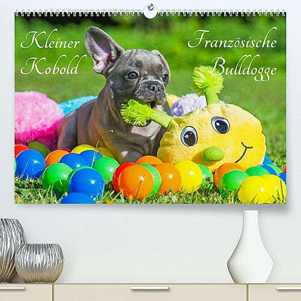 Kleiner Kobold Französische Bulldogge (Premium, hochwertiger DIN A2 Wandkalender 2023, Kunstdruck in Hochglanz), Sigrid Starick