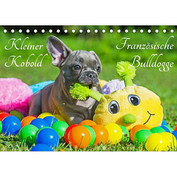 Kleiner Kobold Französische Bulldogge (Tischkalender 2022 DIN A5 quer), Sigrid Starick