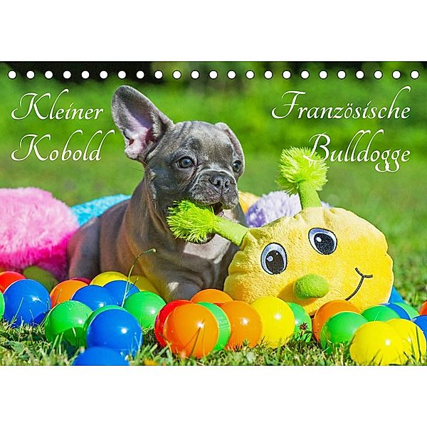 Kleiner Kobold Französische Bulldogge (Tischkalender 2023 DIN A5 quer), Sigrid Starick