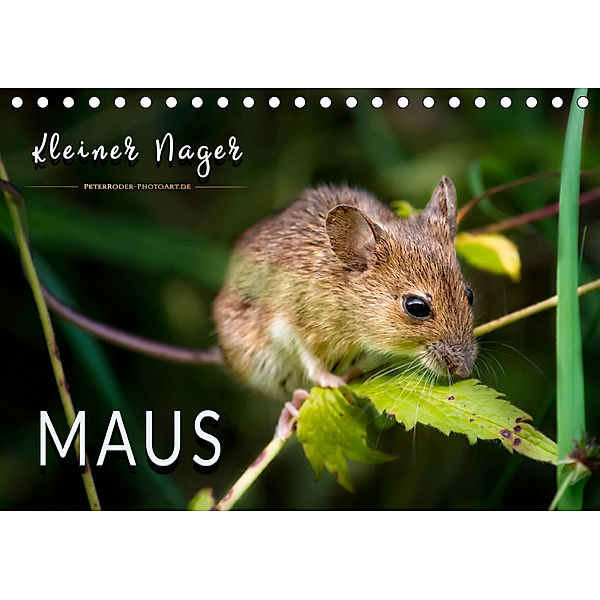 Kleiner Nager - Maus (Tischkalender 2019 DIN A5 quer), Peter Roder