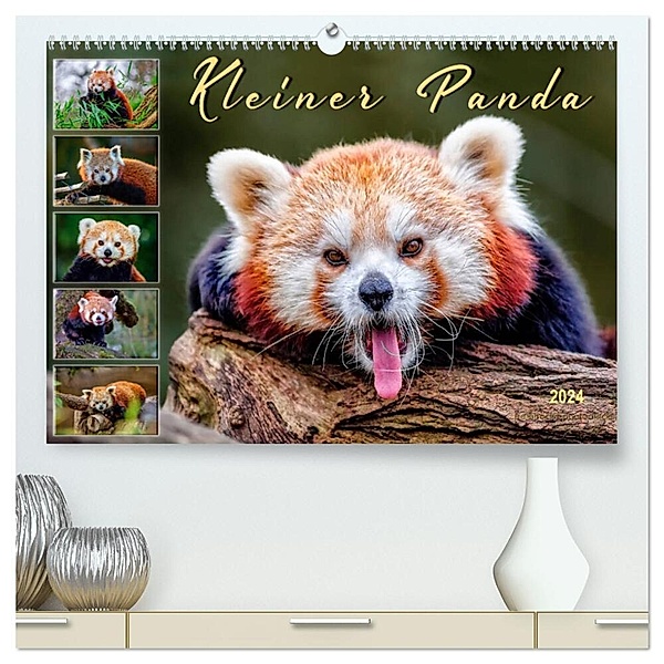 Kleiner Panda (hochwertiger Premium Wandkalender 2024 DIN A2 quer), Kunstdruck in Hochglanz, Peter Roder